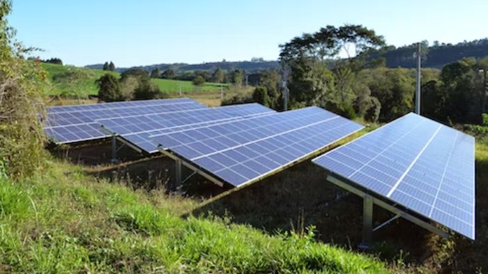 starting a solar farm telesales